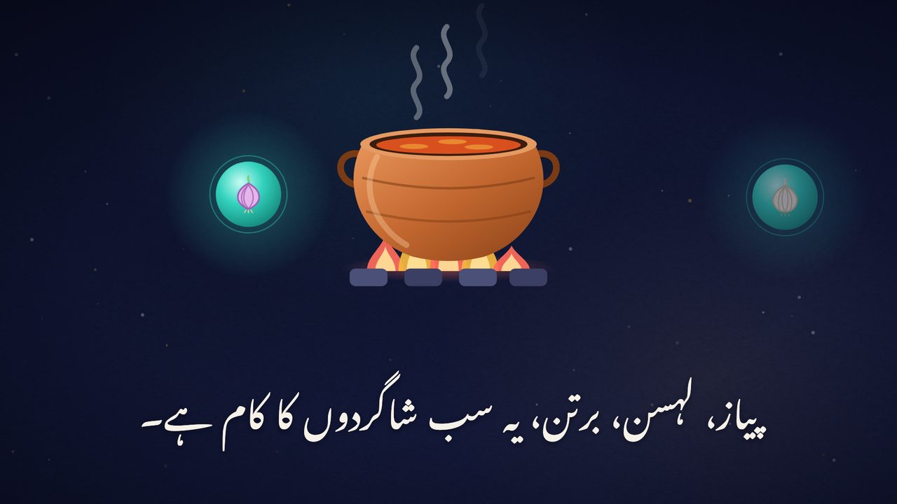 شادی کی دیگ، ساتھ پیاز اور لہسن، جو شاگردوں کا کام ہے